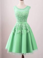 Vintage Tulle Sleeveless Knee Length Quinceanera Court Dresses and Lace