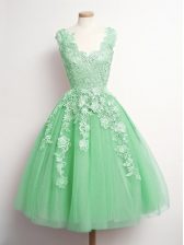 Pretty V-neck Sleeveless Tulle Quinceanera Dama Dress Appliques Lace Up