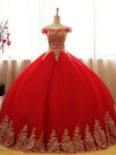 Captivating Tulle Sleeveless Floor Length Quinceanera Gowns and Appliques