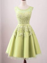 Beautiful Yellow A-line Tulle Scoop Sleeveless Lace Knee Length Lace Up Damas Dress