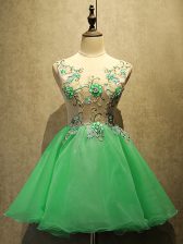Stunning Organza Scoop Sleeveless Lace Up Embroidery Evening Dress in Green