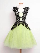  Yellow Green Straps Neckline Lace Quinceanera Dama Dress Sleeveless Lace Up