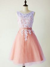Stunning Scoop Sleeveless Lace Up Damas Dress Peach Tulle