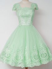  Cap Sleeves Lace Zipper Quinceanera Court of Honor Dress
