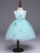 Admirable Ball Gowns Toddler Flower Girl Dress Apple Green Scoop Tulle Sleeveless Knee Length Zipper