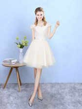  Tulle Off The Shoulder Cap Sleeves Lace Up Lace Quinceanera Court of Honor Dress in Champagne