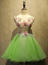 High Class Sleeveless Lace Up Mini Length Embroidery Prom Evening Gown