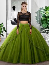 Fine Scoop Long Sleeves Backless 15 Quinceanera Dress Olive Green Tulle