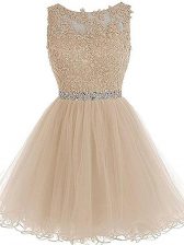  Tulle Sleeveless Mini Length Prom Party Dress and Beading and Lace and Appliques