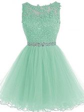  Mini Length A-line Sleeveless Apple Green Prom Party Dress Zipper