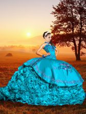 Amazing Organza Sleeveless Quinceanera Dresses Brush Train and Embroidery and Ruffles