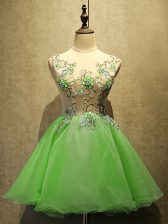  Sleeveless Organza Mini Length Lace Up Prom Dress in with Embroidery