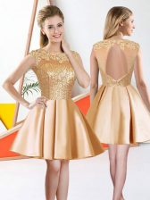  Knee Length A-line Sleeveless Champagne Quinceanera Court Dresses Backless