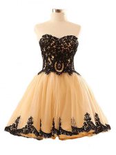  Champagne A-line Appliques Prom Dresses Lace Up Tulle Sleeveless Mini Length