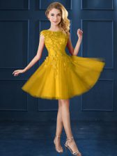  Gold Lace Up Dama Dress Lace and Appliques Cap Sleeves Knee Length