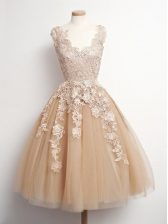 Colorful Brown A-line Appliques Court Dresses for Sweet 16 Lace Up Tulle Sleeveless Knee Length