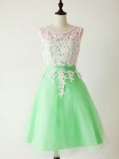 Charming Tulle Scoop Sleeveless Lace Up Lace Vestidos de Damas in Apple Green