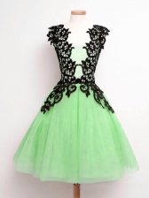 Admirable Straps Sleeveless Lace Up Quinceanera Court of Honor Dress Tulle