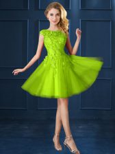  Yellow Green Lace Up Bateau Lace and Appliques Quinceanera Dama Dress Tulle Cap Sleeves