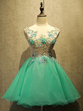  Green A-line Embroidery Lace Up Organza Sleeveless Mini Length