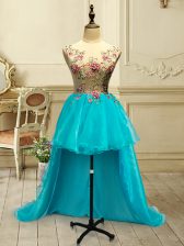 Glamorous Organza Scoop Sleeveless Lace Up Embroidery Homecoming Dress in Baby Blue
