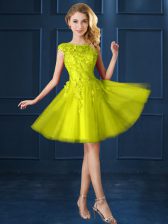  Cap Sleeves Tulle Knee Length Lace Up Dama Dress for Quinceanera in Yellow with Lace and Appliques