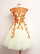 Sweet Multi-color Sleeveless Tulle Lace Up Quinceanera Dama Dress for Prom and Party and Wedding Party