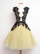  Gold Straps Lace Up Lace Quinceanera Court Dresses Sleeveless