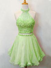 Enchanting Lace Up Halter Top Beading Quinceanera Court of Honor Dress Organza Sleeveless