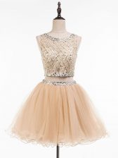 Fabulous Champagne Sleeveless Tulle Side Zipper Prom Party Dress for Prom and Party and Sweet 16