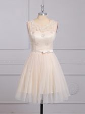 Traditional Mini Length A-line Sleeveless Champagne Court Dresses for Sweet 16 Lace Up