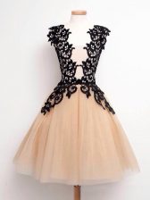Artistic Champagne A-line Straps Sleeveless Tulle Knee Length Lace Up Lace Dama Dress for Quinceanera