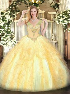 Enchanting Ball Gowns 15th Birthday Dress Gold V-neck Organza Sleeveless Floor Length Lace Up