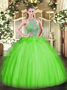 Hot Sale Ball Gowns Quince Ball Gowns Halter Top Tulle Sleeveless Floor Length Lace Up