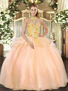 Best Selling Peach Lace Up 15 Quinceanera Dress Embroidery Sleeveless Floor Length