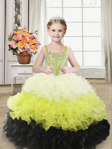 Beautiful Multi-color Sleeveless Organza Lace Up Party Dress for Girls for Sweet 16 and Quinceanera