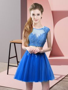 Custom Design Blue Tulle Zipper Scoop Sleeveless Mini Length Dress for Prom Appliques