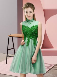 High Quality High-neck Sleeveless Quinceanera Court Dresses Knee Length Appliques Apple Green Tulle