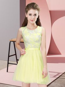  Tulle Sleeveless Mini Length Quinceanera Dama Dress and Lace