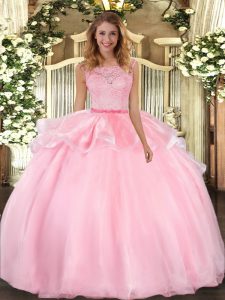  Pink Ball Gowns Lace Quince Ball Gowns Clasp Handle Organza Sleeveless Floor Length