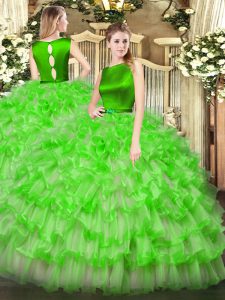 Pretty Ball Gowns Quinceanera Dress Scoop Organza Sleeveless Floor Length Clasp Handle
