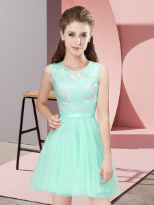 Stunning Scoop Sleeveless Tulle Dama Dress for Quinceanera Lace Side Zipper