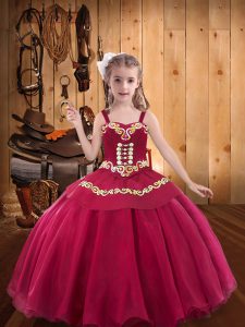 Gorgeous Organza Sleeveless Floor Length Little Girl Pageant Gowns and Embroidery