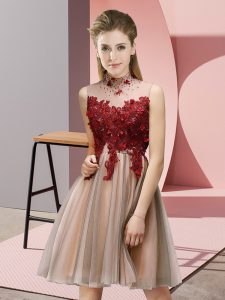 Fashion Knee Length Empire Sleeveless Pink Dama Dress for Quinceanera Lace Up