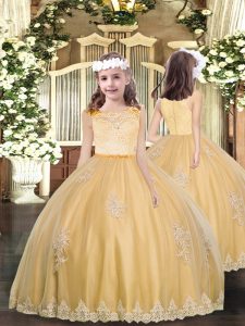 Low Price Floor Length Gold Little Girl Pageant Gowns Tulle Sleeveless Appliques