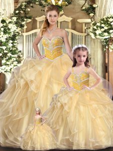 Spectacular Ball Gowns Vestidos de Quinceanera Champagne Sweetheart Organza Sleeveless Floor Length Lace Up