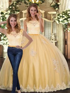  Floor Length Gold 15 Quinceanera Dress Tulle Sleeveless Lace and Appliques