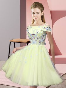 Classical Yellow Lace Up Dama Dress Appliques Short Sleeves Knee Length
