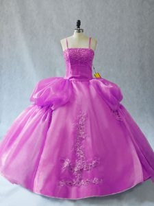 Dynamic Sleeveless Lace Up Floor Length Appliques Sweet 16 Quinceanera Dress