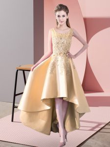 Sexy Gold Scoop Neckline Lace Quinceanera Dama Dress Sleeveless Zipper